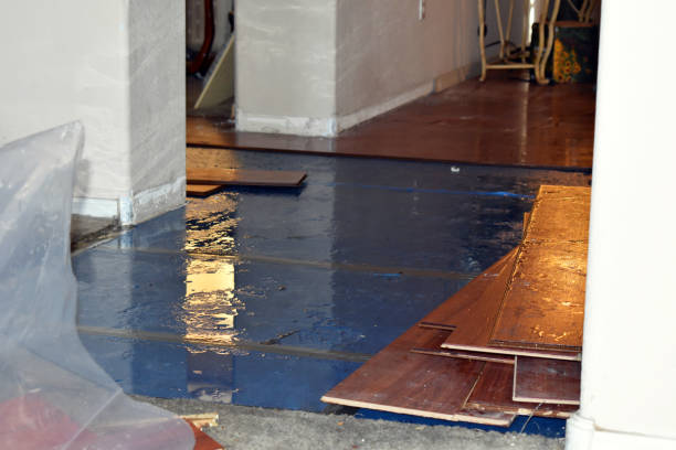 Professional Water Damage Restoration technician working in Polk City, FL